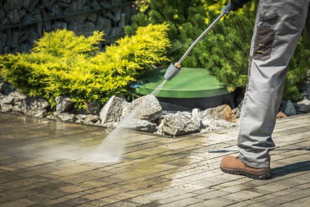 Best Sign and Awning Cleaning  in Los Molinos, CA